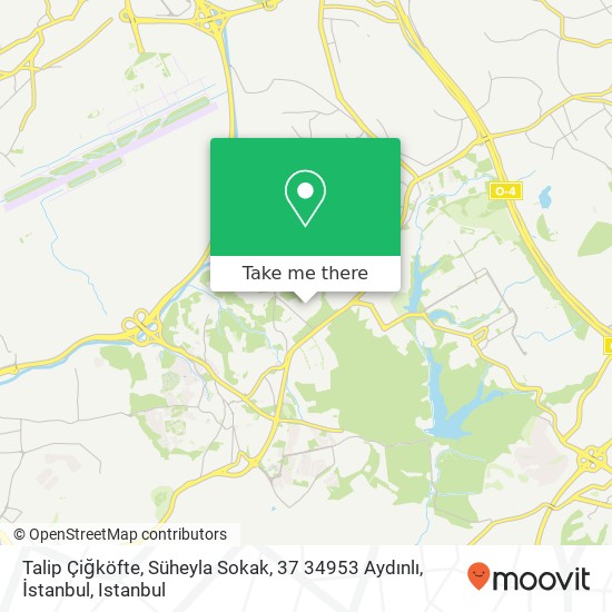 Talip Çiğköfte, Süheyla Sokak, 37 34953 Aydınlı, İstanbul map