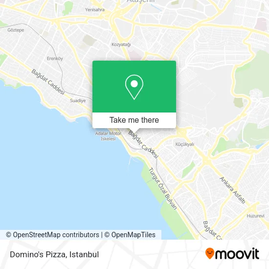 Domino's Pizza map