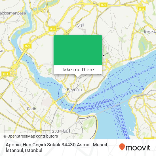 Aponia, Han Geçidi Sokak 34430 Asmalı Mescit, İstanbul map