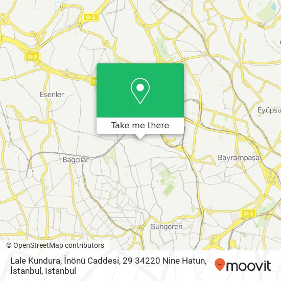 Lale Kundura, İnönü Caddesi, 29 34220 Nine Hatun, İstanbul map