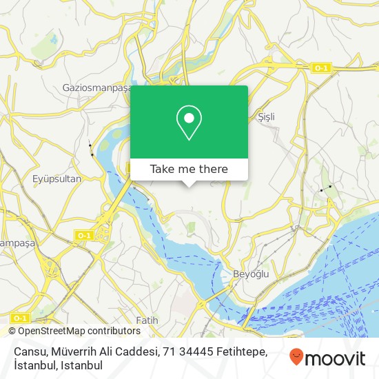 Cansu, Müverrih Ali Caddesi, 71 34445 Fetihtepe, İstanbul map