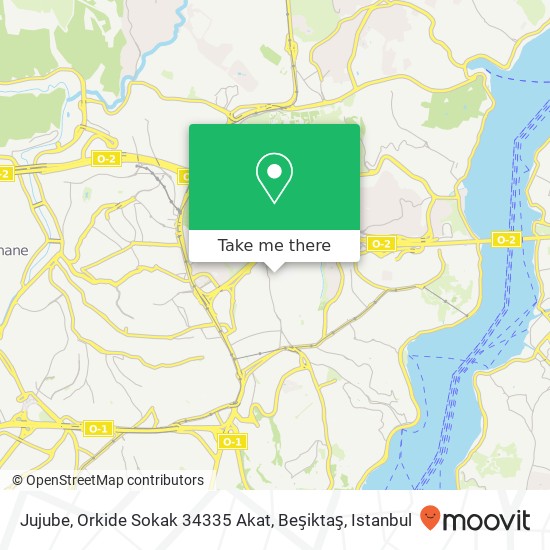 Jujube, Orkide Sokak 34335 Akat, Beşiktaş map