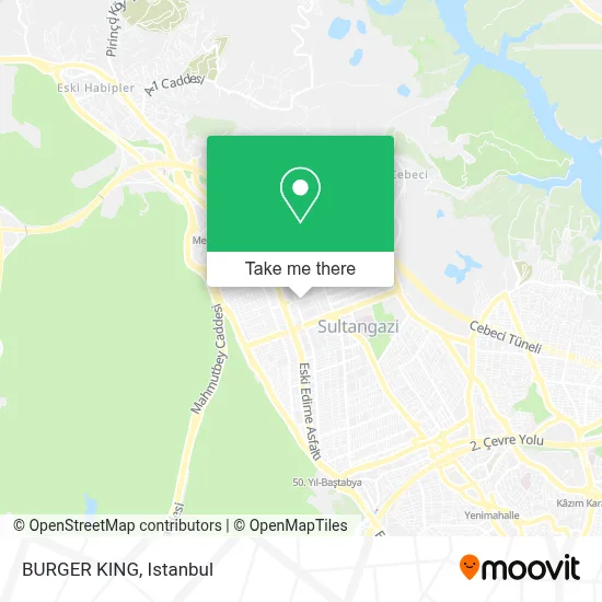 BURGER KING map