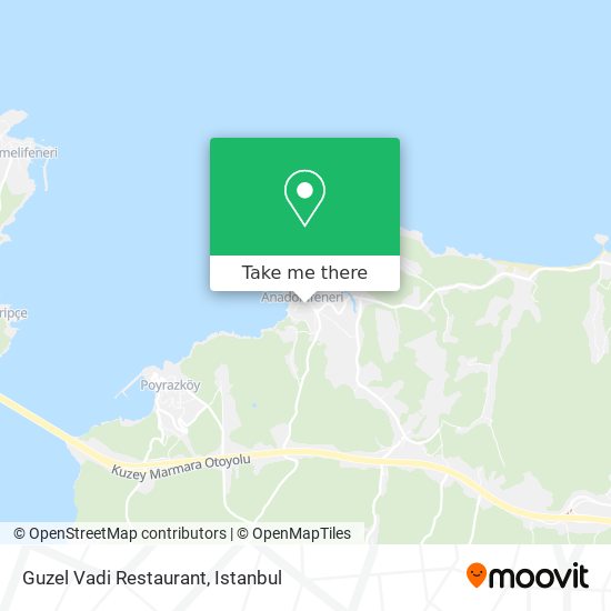 Guzel Vadi Restaurant map