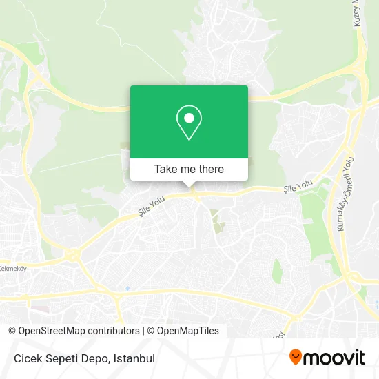 Cicek Sepeti Depo map