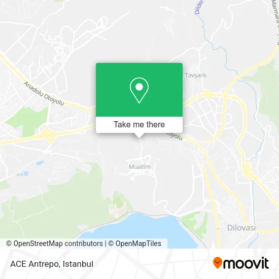 ACE Antrepo map