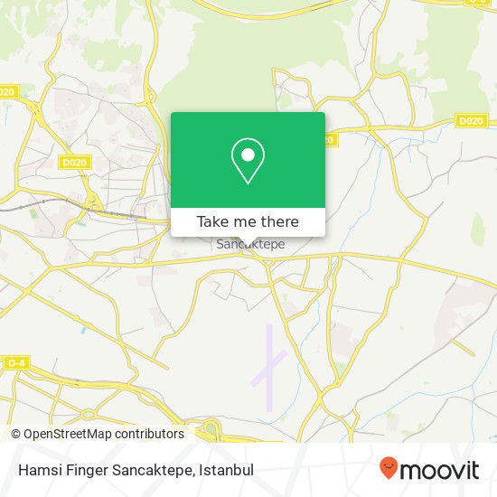 Hamsi Finger Sancaktepe map