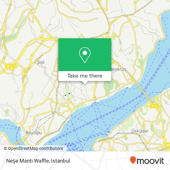 Neşe Mantı Waffle map