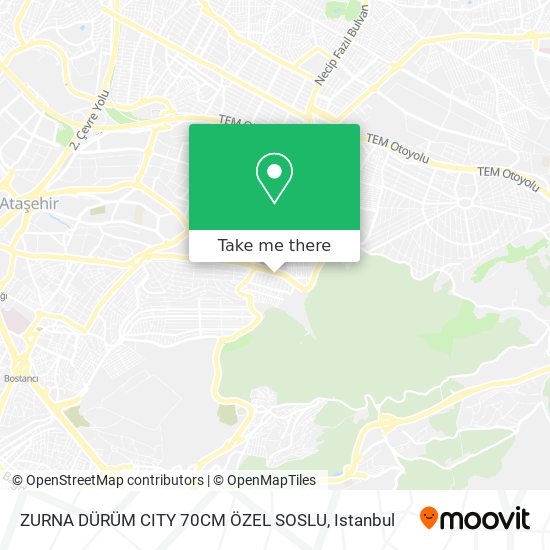 ZURNA DÜRÜM CITY 70CM ÖZEL SOSLU map