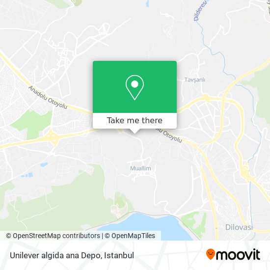 Unilever algida ana Depo map