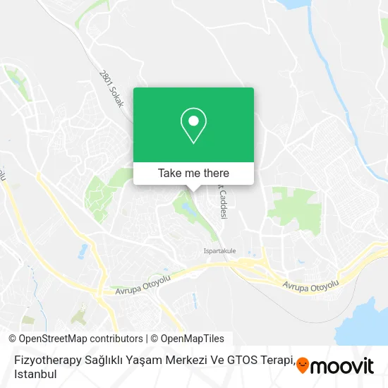 Fizyotherapy Sağlıklı Yaşam Merkezi Ve GTOS Terapi map