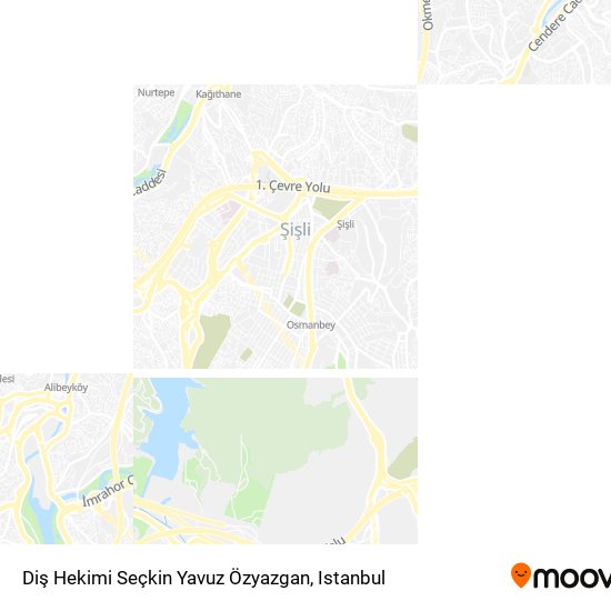 Diş Hekimi Seçkin Yavuz Özyazgan map