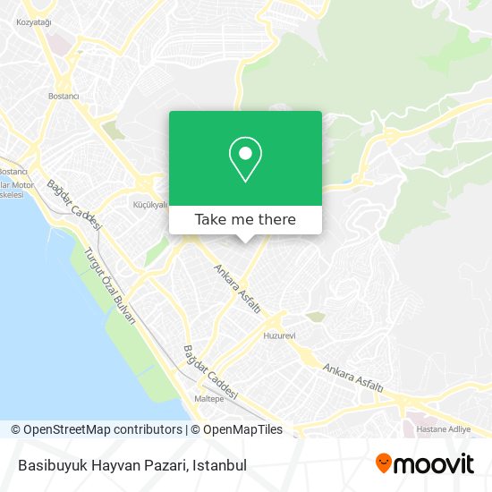 Basibuyuk Hayvan Pazari map