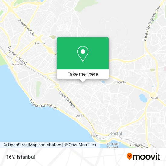 16Y map