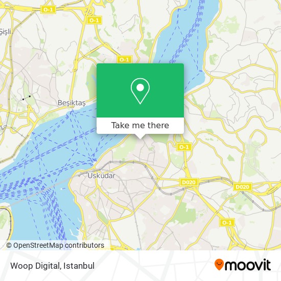 Woop Digital map
