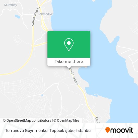 Terranova Gayrimenkul Tepecik şube map