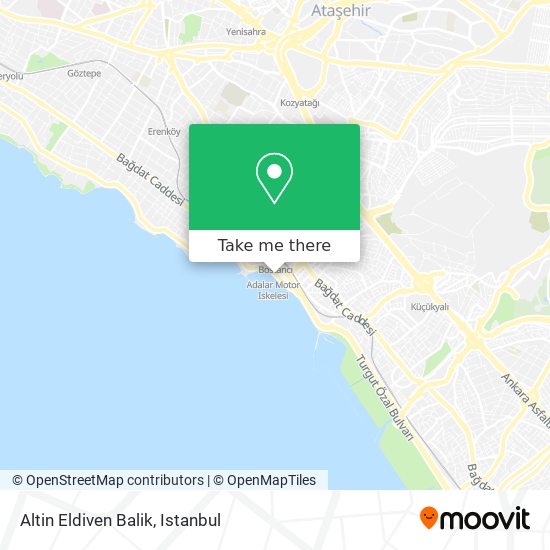 how to get to altin eldiven balik in maltepe by bus cable car metro train or ferry
