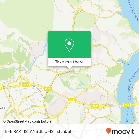 EFE RAKI ISTANBUL OFIS map