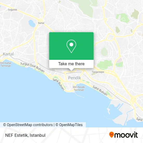 NEF Estetik map