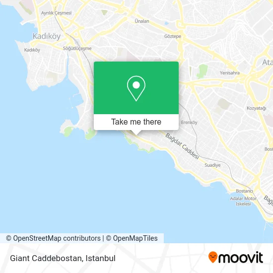 Giant Caddebostan map