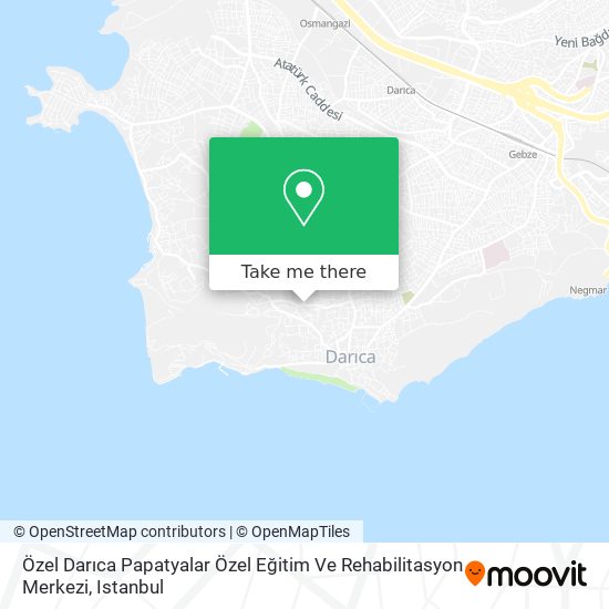 Özel Darıca Papatyalar Özel Eğitim Ve Rehabilitasyon Merkezi map