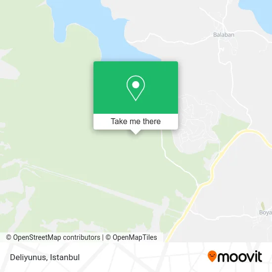 Deliyunus map