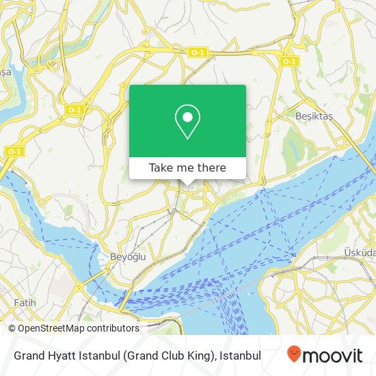 Grand Hyatt Istanbul (Grand Club King) map