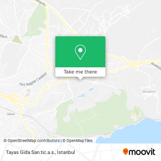 Tayas Gida San.tic.a.s. map