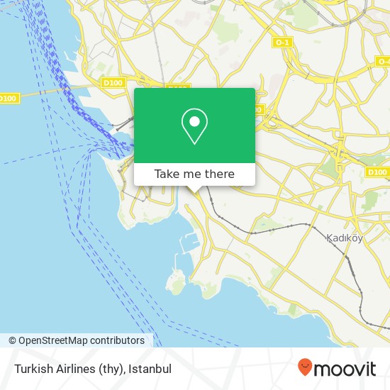 Turkish Airlines (thy) map