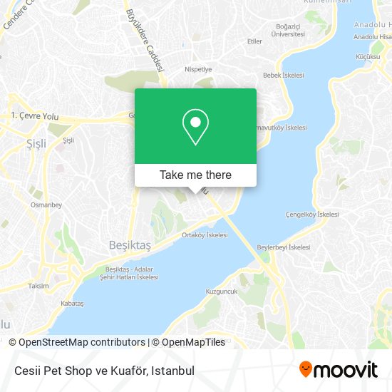 Cesii Pet Shop ve Kuaför map