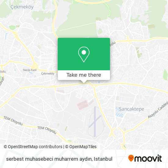 tay tv sonuçları kızların etek altı