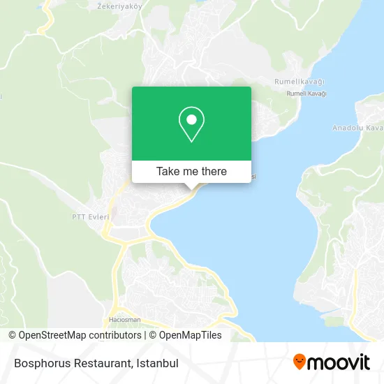 Bosphorus Restaurant map
