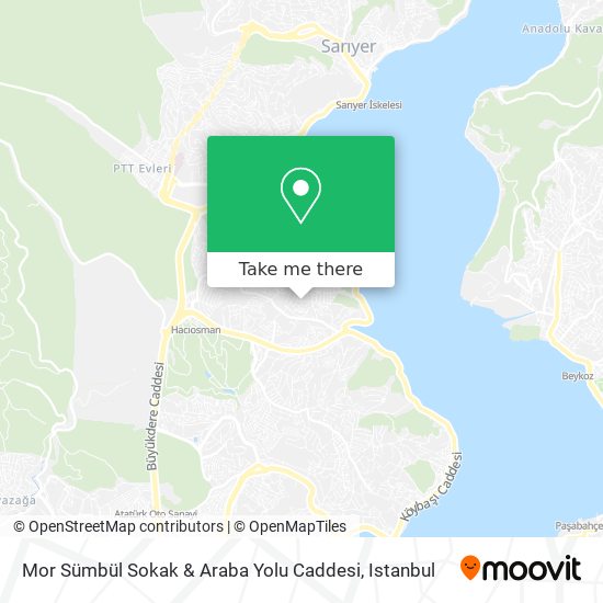 Mor Sümbül Sokak & Araba Yolu Caddesi map