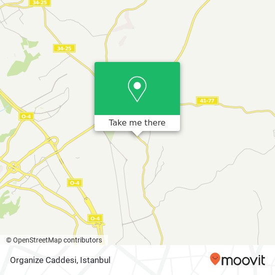 Organize Caddesi map