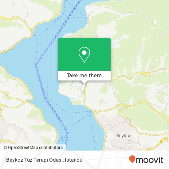 Beykoz Tuz Terapi Odası map