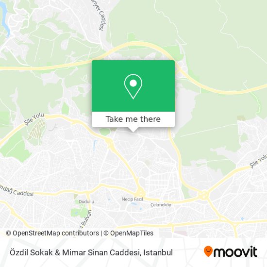 Özdil Sokak & Mimar Sinan Caddesi map