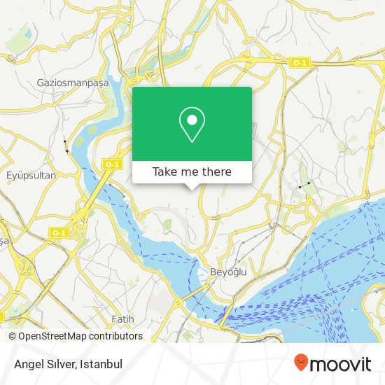 Angel Sılver map