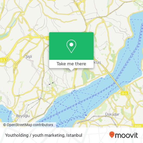 Youtholding / youth marketing map
