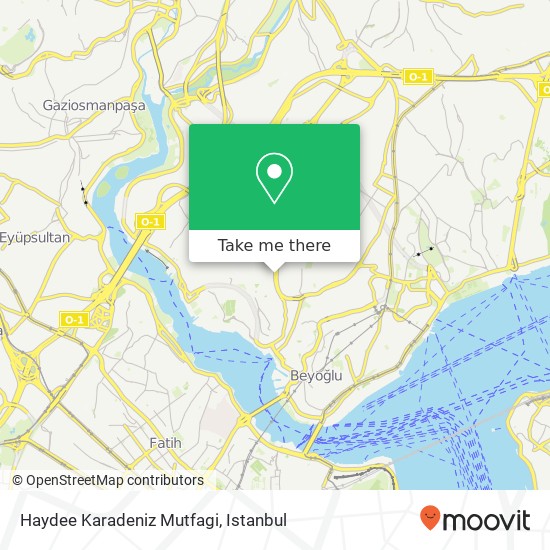 Haydee Karadeniz Mutfagi map