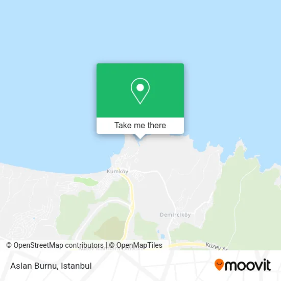 Aslan Burnu map