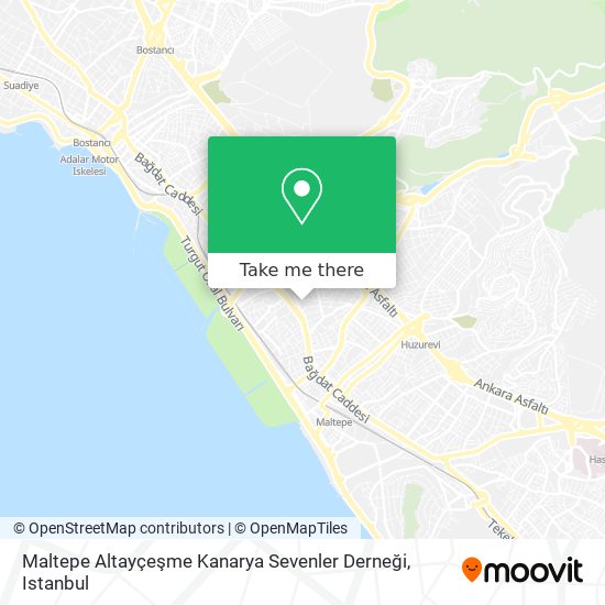 Maltepe Altayçeşme Kanarya Sevenler Derneği map