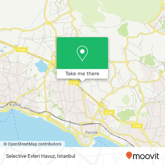 Selective Evleri Havuz map