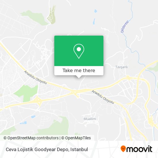 Ceva Lojistik Goodyear Depo map