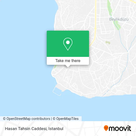 Hasan Tahsin Caddesi map