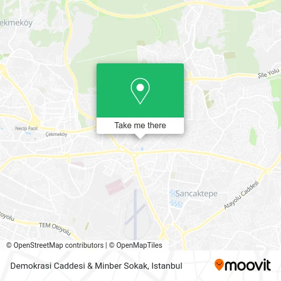 Demokrasi Caddesi & Minber Sokak map
