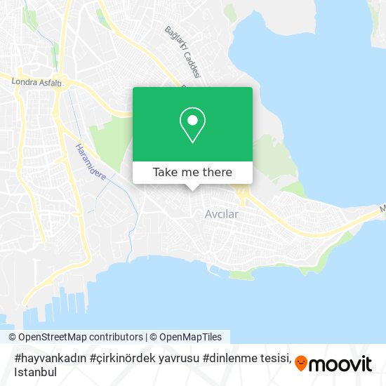 #hayvankadın #çirkinördek yavrusu #dinlenme tesisi map