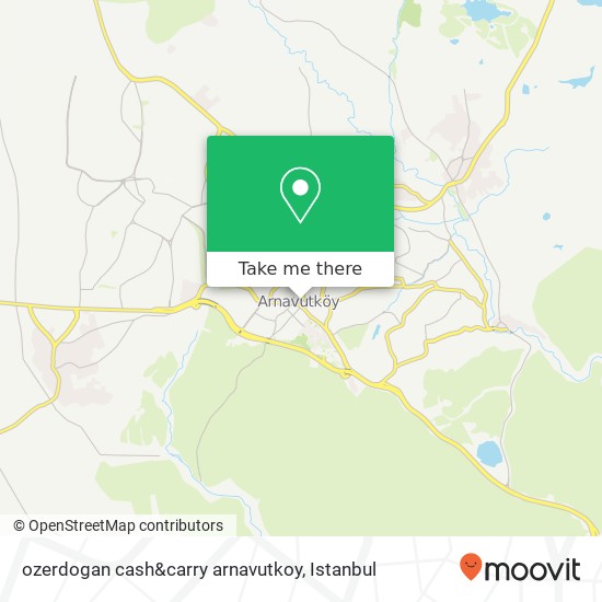 ozerdogan cash&carry arnavutkoy map