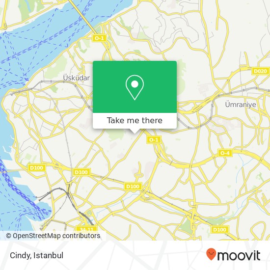 Cindy map