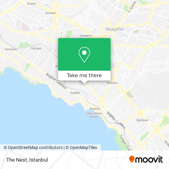 The Nest map