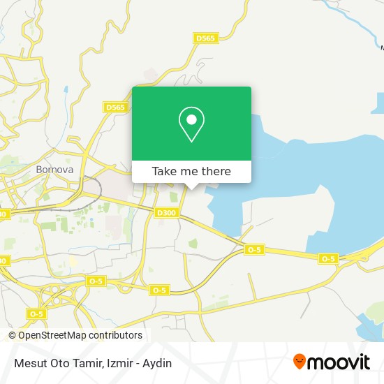 Mesut Oto Tamir map